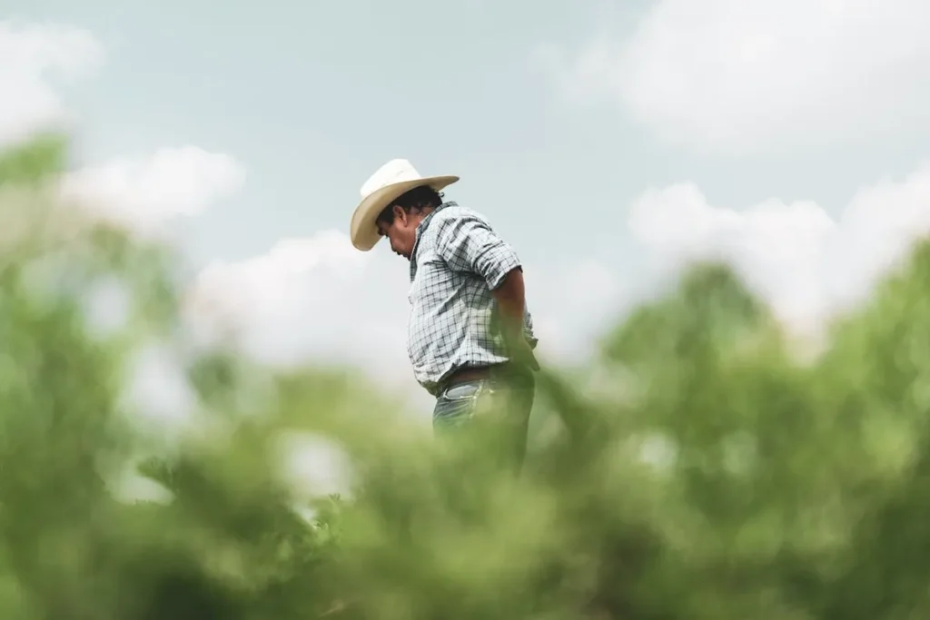 Agricultor com chapéu de cowboy em um campo, simbolizando o agronegócio e a pecuária