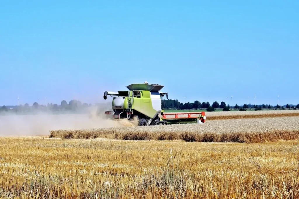 Colheitadeira verde e branca em um campo de trigo, representando a modernização do agronegócio.