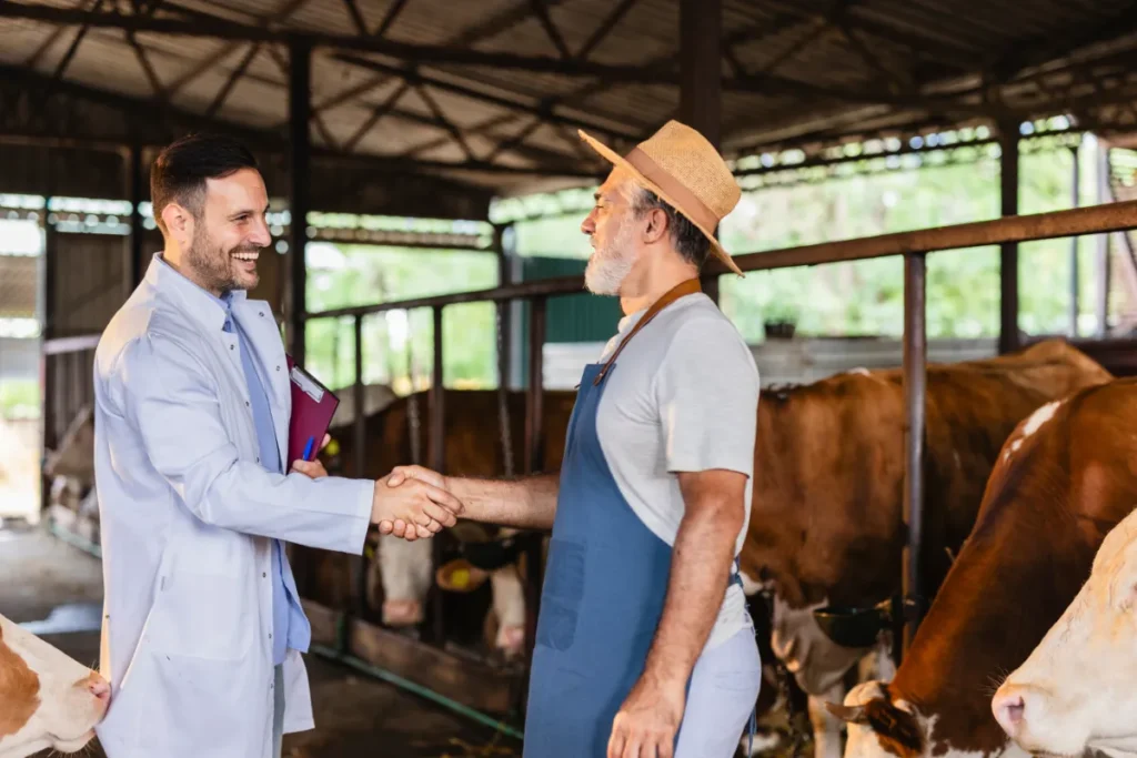 Dois produtores rurais apertando as mãos em um curral enquanto vacas aparecem ao fundo.